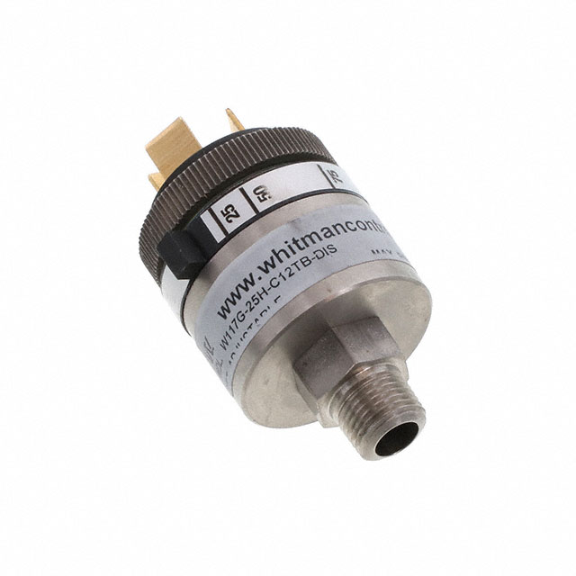 Whitman Controls_W117G-25H-C12TB-DIS