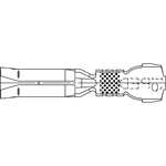 Aptiv_12124313