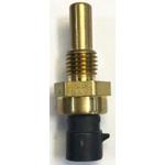 Merit Automotive Electronics Systems_12146897