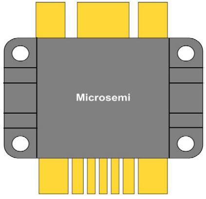 Microchip Technology_DRF1200/CLASS-E