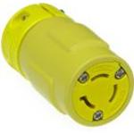 Molex_0000002549
