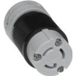 Molex_0000004729