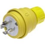 Molex_0000026W76