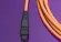 Molex_1062840005_Cable Assembly Multimode Fiber Optic 5m MTP to MTP iPass+™