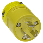 Molex_2434