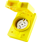 Molex_67W82