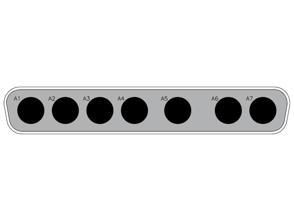 Molex_1731070168