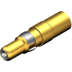 Molex_1731140197