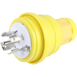 Molex_26W81