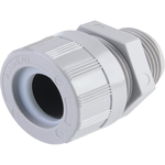 Molex_5556