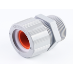 Molex_5568