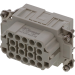 Molex_7318.6091.0