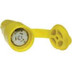 Molex_27W81