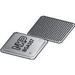 NXP Semiconductors_MPC857DSLZQ50B