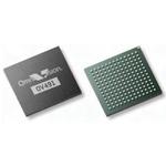 OmniVision Technologies_OV00491-B69G-TC