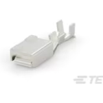 TE Connectivity_1318985-6