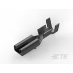 TE Connectivity_160655-2