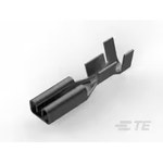 TE Connectivity_160684-4