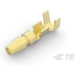 TE Connectivity_170020-3