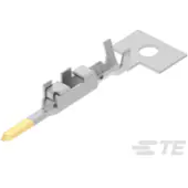 TE Connectivity_1903111-2