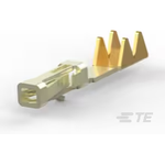 TE Connectivity_2-487406-3
