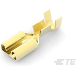 TE Connectivity_42281-1