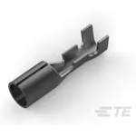 TE Connectivity_42581-2