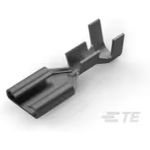 TE Connectivity_42692-2