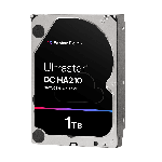 Western Digital_1W10001