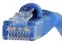 AIM-Cambridge / Cinch Connectivity Solutions_73-7792-5_Ethernet Cables / Networking Cables C5E-350MHZ BLUE 5' MOLDED/BOOTED PATCH