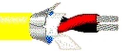 Belden Wire & Cable_83393 004500