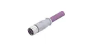 CONEC_43-11607_CBL CIRC 4POS FEM TO WIRE 16.4'