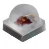 Cree LED_XQAAPB-00-0000-000000V01_XLAMP XQA LIGHT EMITTING DIODE P