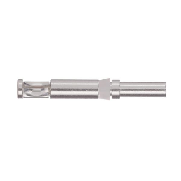 JAE Electronics_031-50165