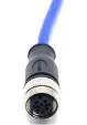 Mueller Electric Co._C3C80M005_Mueller Electric Blue-Flex, M12 Cordset, 3-Pin, Straight Female to Open End, Silicone, 5M