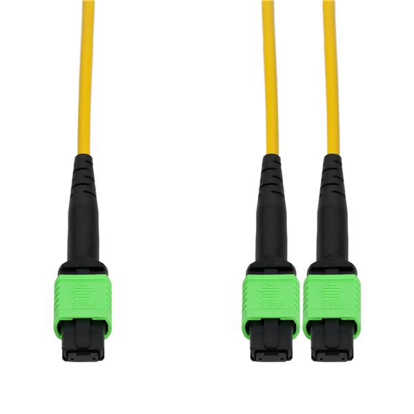 ProLabs_C-24FMPO-2MPO8M9SMF