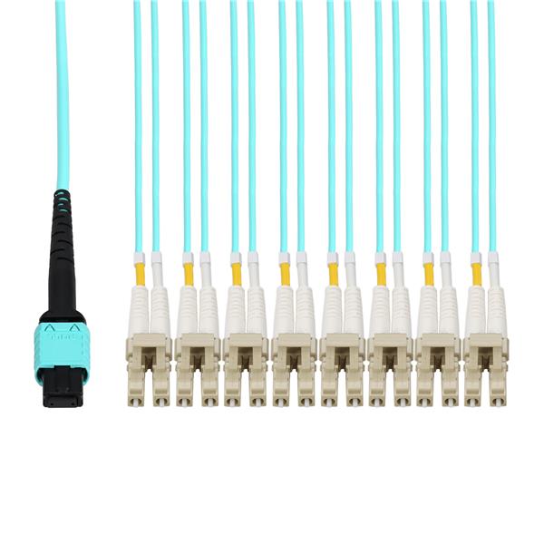 ProLabs_C-24FMPO-8LC5M5OM4