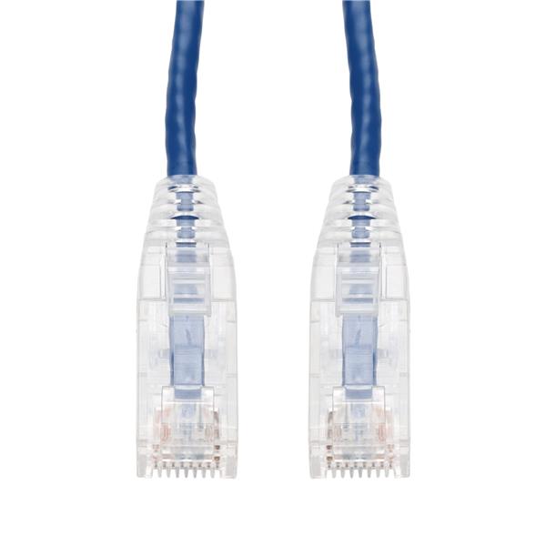 ProLabs_C-9-5INSLCAT6A-BE