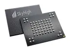 SkyHigh Memory Limited_S34MS02G200TFV000_NAND Flash SLC,2Gb,3x,1.8V,x8,4bit,TS48,