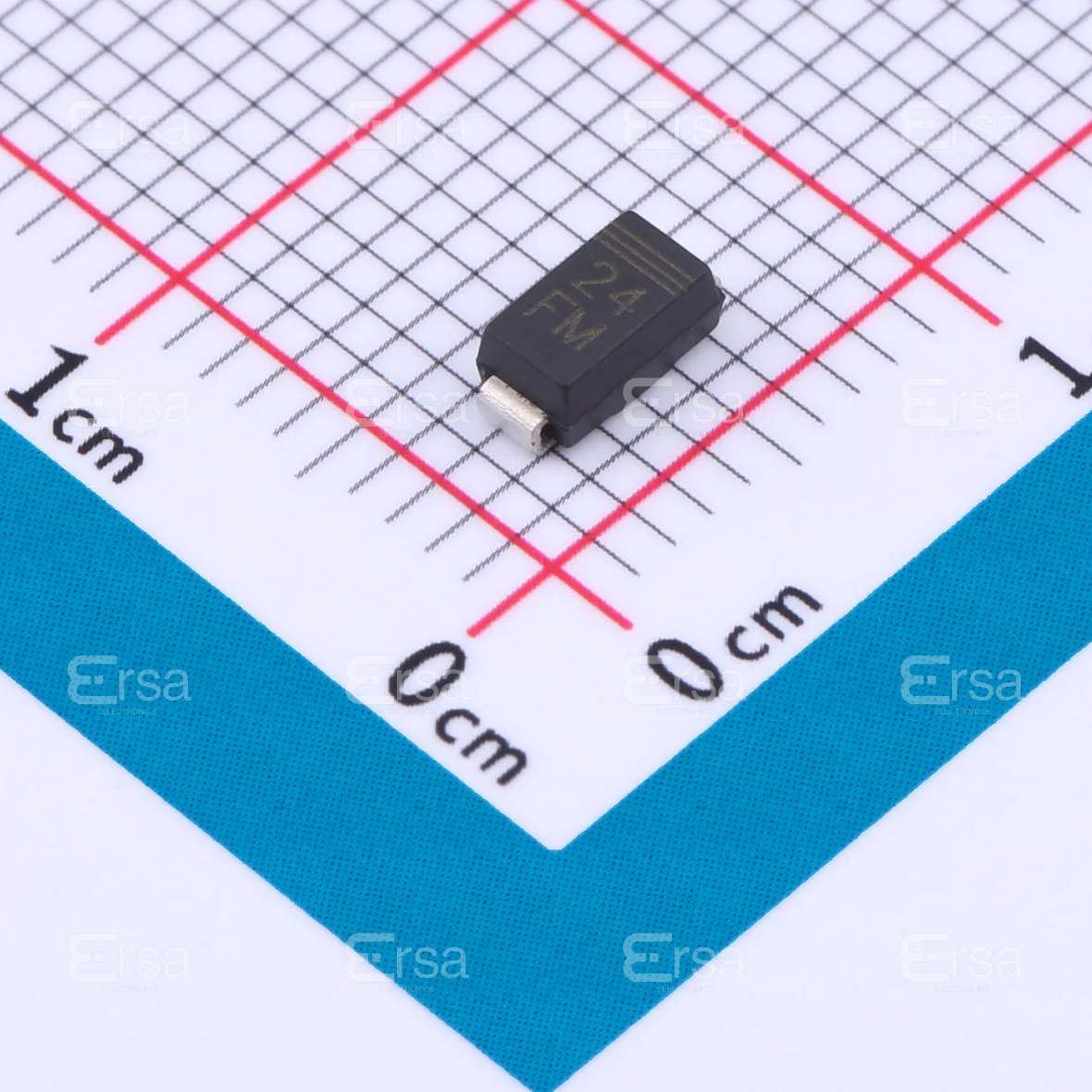EIC Semiconductor, Inc._RD24FM