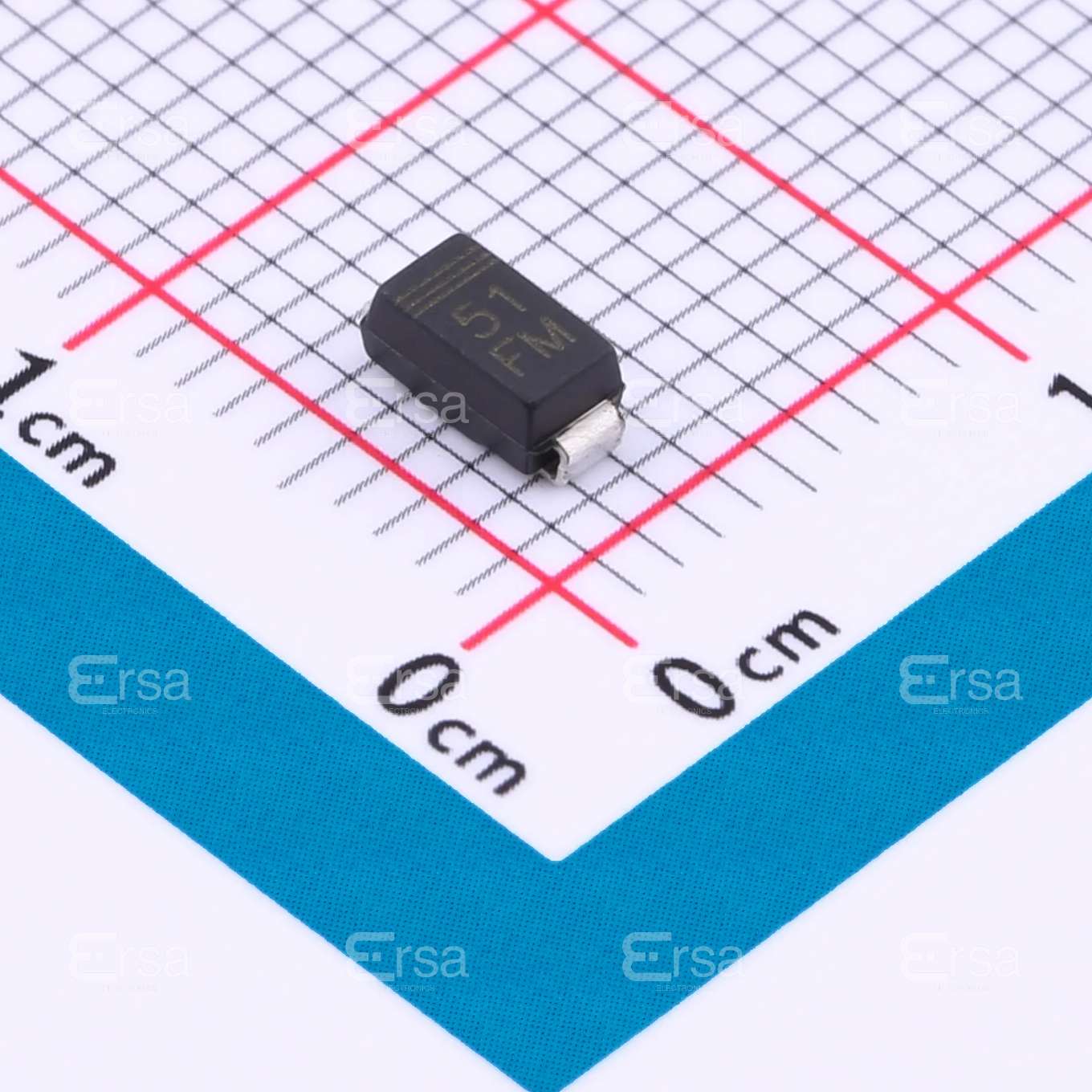 EIC Semiconductor, Inc._RD51FM
