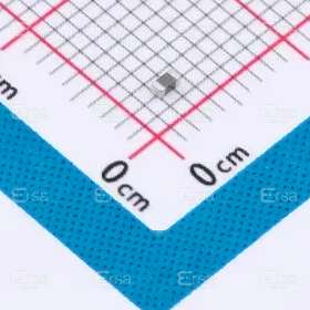 Murata Electronics_BLM18SP101SN1D