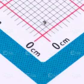 Pulse Electronics_BBPY00100505100Y00
