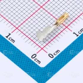 Samtec, Inc._CC79L-2024-01-F