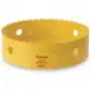 Starrett_FCH0600_ROHS
