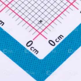 Walsin Technology_WR04X62R0FTL